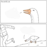 why
