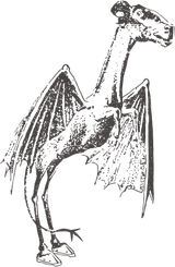 Jersey_Devil.svg