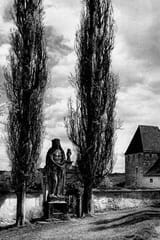 059 - near Neuburg Castle on the Danube