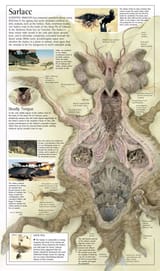 Sarlacc29