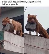 a825a8d7efa72d1c8447f06956b4e3b1