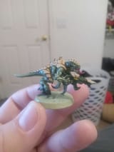 Nids