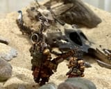 bugs
