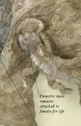 1745089040450778