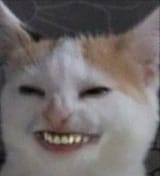 1532113591396