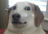 1630110015341