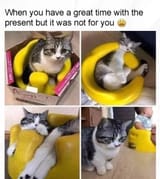 present but not for me