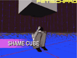shame
