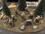 the Gor herd