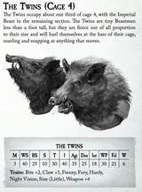 The Twins