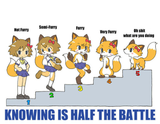 furry rating scale