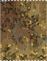 Round 12 physical