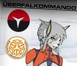 uberfalkommando