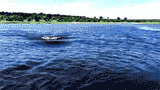 giphy(2)