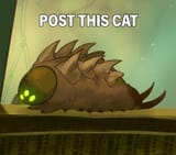 Destiny 2 Post This Cat Worm