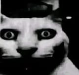 Horror