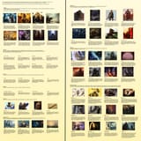 CYOA - Paladin - 1409169097048