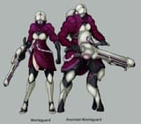 Sisterhood Zealot
