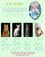 cat fairy pg1 cyoa