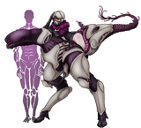 Strider