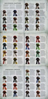 successor chapters 10e