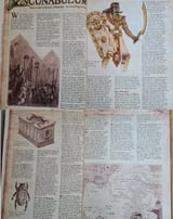wd03article