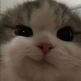 1724598061208889