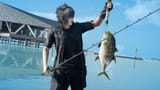 noctis