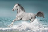 istockphoto-1466808280-612x612