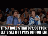 bold strategy