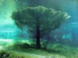 Green Lake, Tragoess, Austria