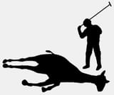deadhorse