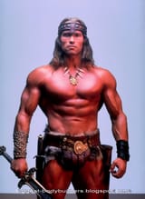 arnold schwarzenegger wallpaper 12