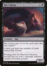 dom-101-rat-colony