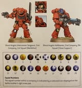 blood_angels_primaris_squad_markings_large