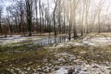 landscape-in-the-park-in-early-spring-with-melting-white-snow-on-a-sunny-february-day-photo