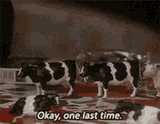 father-ted