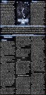The Blessed Stones 08 CYOA v4