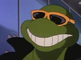 cool turtle