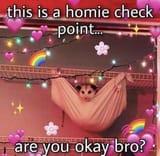 homie check point poss