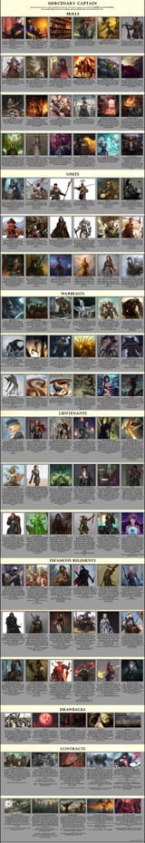 Mercenary Captain