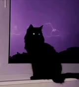dark lightning kot