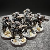 dp54ydw7ciq71