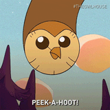 hooty