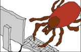 tick