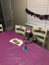 DkBzd2qXsAYaUnT