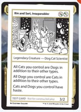 catdog playtest