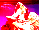 1465325497372