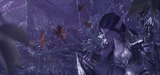 Nelf