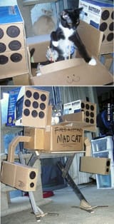 mech cat